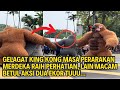 GELAGAT KING KONG MASA PERARAKAN MERDEKA RAIH PERHATIAN, LAIN MACAM BETUL AKSI DUA EKOR TU...