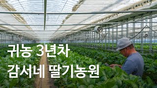 감서네 딸기농원, 스마트팜 '팜모닝' 도입 후기