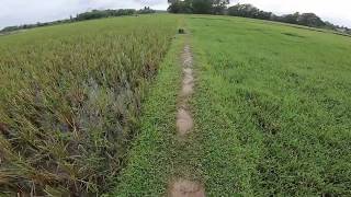 Walking on Muddy Rice Field / RAW Sound