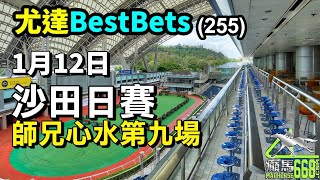 尤達Best Bets(255)-1月12日沙田日賽提供，師兄心水第九場 請訂閱@YautatRacingChannel ，多俾Like，留言及分享，記得請師兄飲咖啡!