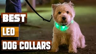 Best LED Dog Collar In 2024 - Top 10 LED Dog Collars Review