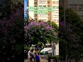 荃灣街景 新界 香港 tsuen wan street view new territories hong kong