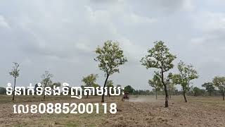 ត្រាក់ទ័រគូបូតាM7040ស៊េរីឆ្នាំ2018លក់ក្នុងតម្លៃ13500ចចារ