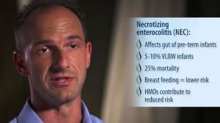 Lars Bode, PhD: Potential Effects of HMOs on Adult Gut Microbiome