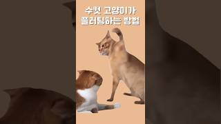 맞고 있는게 아닙니다