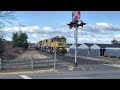 tasrail 2054 2051 46 coal train longford