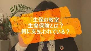 【生保の教室 13/365】生命保険とは？何に支払われている？