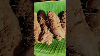 ചെറുകിഴങ്ങ് പുഴുങ്ങിയത് #നനകിഴങ്ങ് | Recipes | Mummy and me