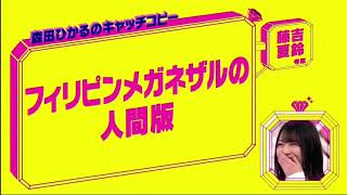 ［森田ひかる］世界一可愛いフィリピンメガネザル