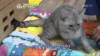 TV동물농장신동엽한승연김생민이윤아조랑말이야기110918_clip12