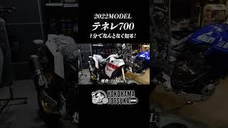 1分でなんとなくテネレ700をチェック！#shorts