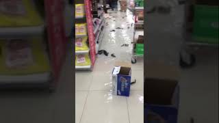 carrefour shop georgia tbilisi / კარფურში წარღვნაა