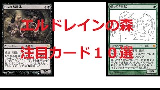 MTGLG　エルドレインの森の注目カード１０選