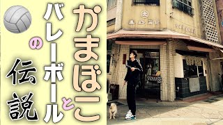 長崎土産 🌳長崎市の築町商店街をポメラニアンとお散歩中に五輪？