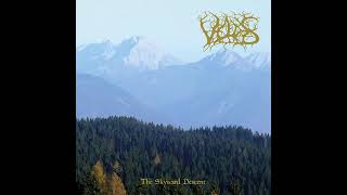 Veldes - The Skyward Descent