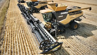 CAT Power 3 Lexion 760 Mähdrescher und Cat Challanger + Elmers Haulmaster  Weizen dreschen 23 Teil1