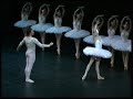 sylvie guillem and nicolas leriche swan lake pas de deux