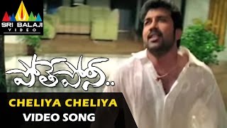 Pothe Poni Video Songs | Cheliya Cheliya Video Song | Sivabalaji, Sindhu Tolani | Sri Balaji Video