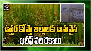 ఉత్తర కోస్తా జిల్లాలకు అనువైన ఖరీఫ్ వరి రకాలు| New Paddy Varieties For Kharif Season | Matti Manishi