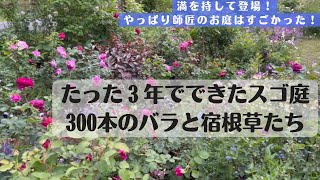 《お庭訪問／miyaの園芸師匠がメインチャンネルに初登場！》たった3年で作り上げたバラと宿根草の理想のお庭／植物への愛と知識であふれております