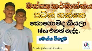 ලක්ශ 1.5 විසිතුරු මත්ස්‍ය කර්මාන්තය පටන් ගමු .How to Start Aquarium Farm ..