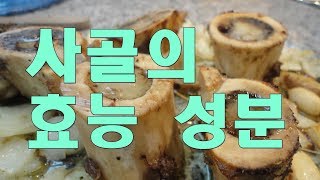 사골의 효능과 성분 benefits of beef leg bone