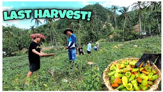 LAST HARVEST NG ATSAL + HATID NATIN SA PALENGKE SARI-SARING GULAY TALONG PECHAY SILI(FARM TO MARKET)