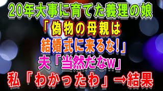 【スカッとする話】www...20年間大事に育てた義理の娘が結婚することに。娘「偽物の母親は結婚式に来るな！」夫「当然だろ」私「わかったわ」→その結果www!!!【修羅場】