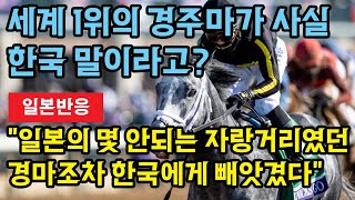 일본반응)이젠 한국이 콘텐츠 분야를 넘어 경마의 세계까지 평정했다(세계 최고의 경주마 닉스고)