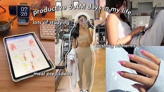 STUDY VLOG | 6 AM productive days in my life | final exam prep, staying motivated & new recipes
