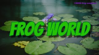 FROG WORLD 🐸🎵(かえるの世界)  Original Composition【ショートソングVol.19】