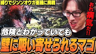 独自の縛りでジンオウガ亜種に挑戦！身体が勝手に壁へ吸い寄せられ大苦戦するマゴ【壁ダイジェスト｜MHW:IB】