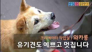 [크리에이터 작업실] 와카롱의 작업실을 소개합니다!