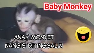 Baby Monpay nangis di tinggalin