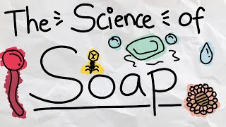 How Does Soap Clean Dishes and Kill Bacteria?