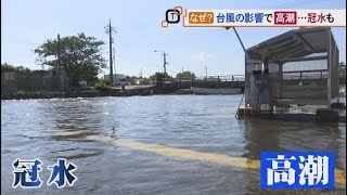 なぜ？台風の影響で「高潮」発生！道路や駐車場が冠水