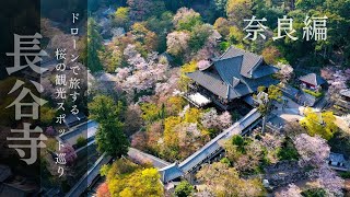 [ 奈良 ] 長谷寺 ドローンで旅する 桜の観光スポット巡り Nara Drone