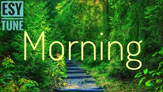 Electric Piano music, alarm Sound Effect, morning🌄, beautiful nature view