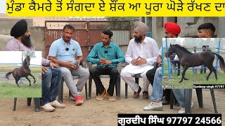 ਮੁੰਡਾ ਕੈਮਰੇ ਤੋਂ ਸੰਗਦਾ ਏ ਸ਼ੌਂਕ ਆ ਪੂਰਾ ਘੋੜੇ ਰੱਖਣ ਦਾ