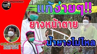 พ่อหมอเกษตร EP.72 ตอน แก้ง่ายๆยางหน้าตาย น้ำยางไม่ไหล