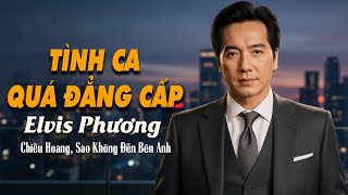 Chiều Hoang, Sao Không Đến Bên Anh - ELVIS PHƯƠNG | Tình Khúc Xưa Vạn Người Mê