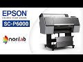 Impresora Epson SC-P6000