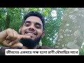 মিত্যু জেনেও মৌমাছি কেন সহবাস করে মৌমাছির মিলন অবাক করা তথ্য মৌমাছির জীবন চক্র মৌমাছি1_m