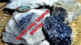 ✅️Paket Bahan Black Opal Sempur Banten tinggal treatmen atau urai, semua Rp 75rb 087715447323terjual