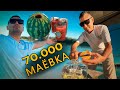 70 МИНГ СЎМЛИК МАЁВКА ҚАНДАЙ БЎЛАДИ? 2-ҚИСМ