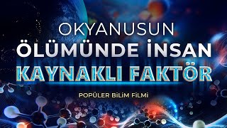 Okyanusun Ölümünde İnsan Kaynaklı Faktör | Popüler Bilim Filmi