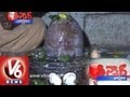 Srisailam Siva Lingam Dissolving - Teenmaar News