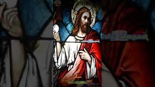 #67. Whatsapp Status Videos| Jesus|வானக அப்பமே..| Vanaga Appame..| Fr. Kulandai Yesu CMF