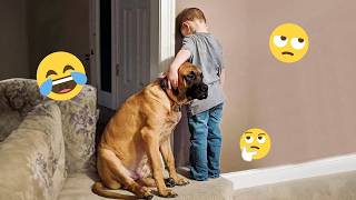 I Can’t Stop Laughing at These Hilarious Dogs 😂 Funny Dog Moments 2026