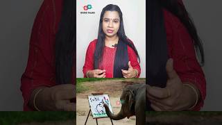 നിങ്ങൾക്ക് അറിയാമോ #shorts #shortvideo #short #viral #trending #youtubeshorts #shortsvideo #reels